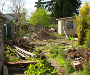 ¿Desastre de bricolaje? Conquistando la limpieza y remoción del jardín como un profesional despistado